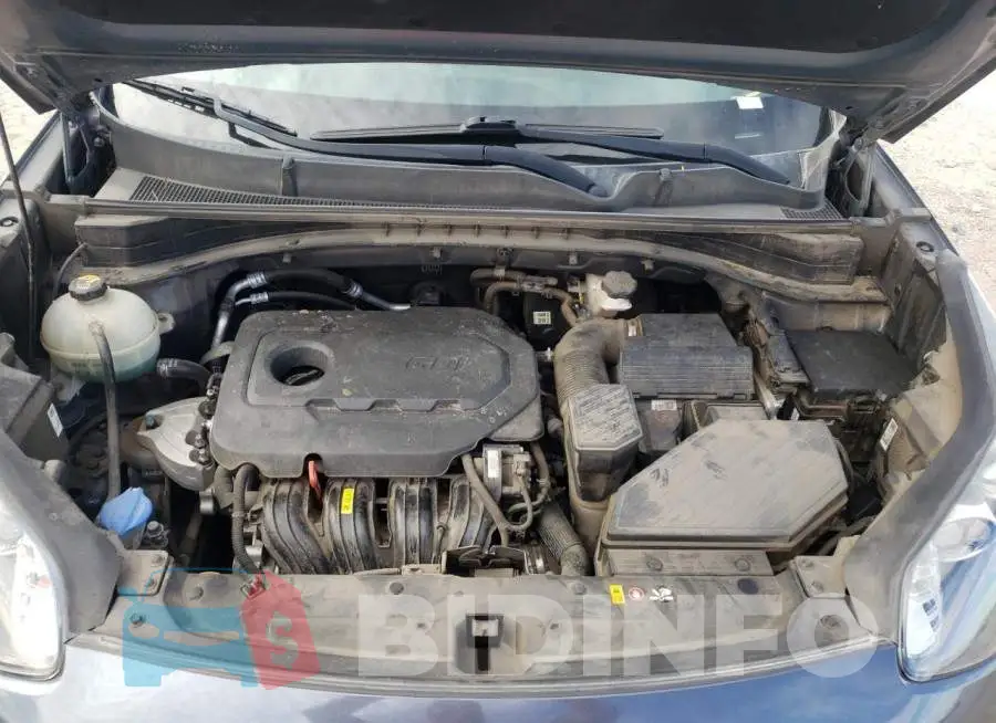 KNDPN3AC7H7266192 Photo# 7