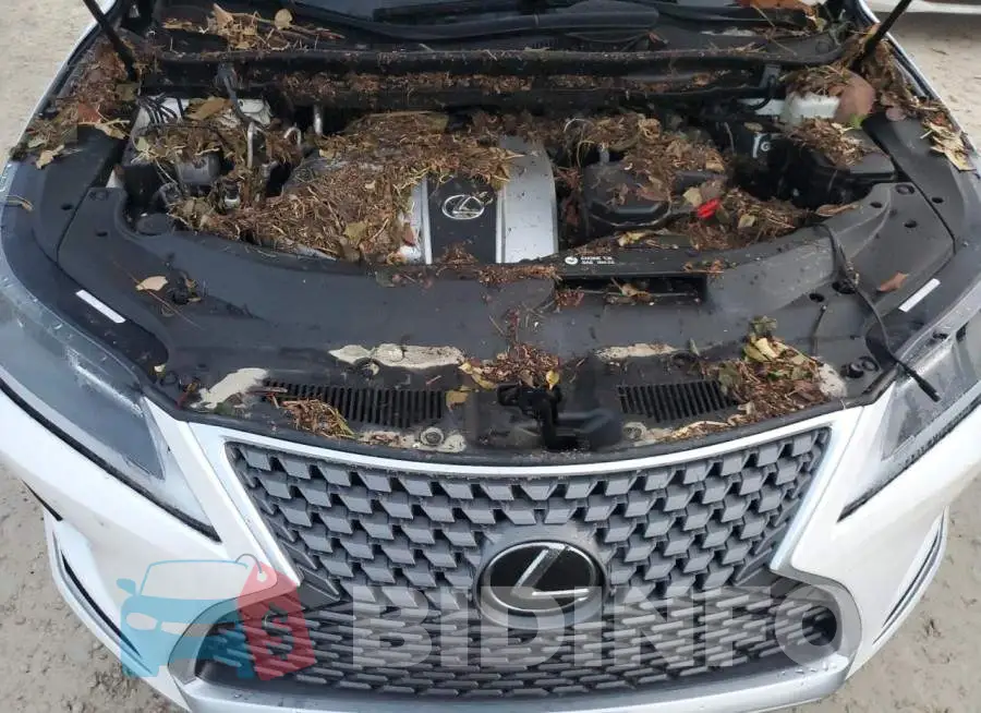 2T2HZMAA4LC162971 Photo# 7