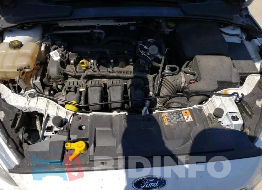 1FADP3F21GL397644 Photo# 7