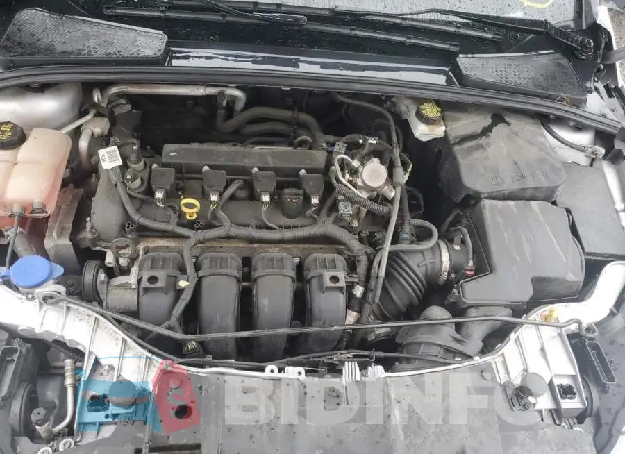 1FADP3F24HL227151 Photo# 7