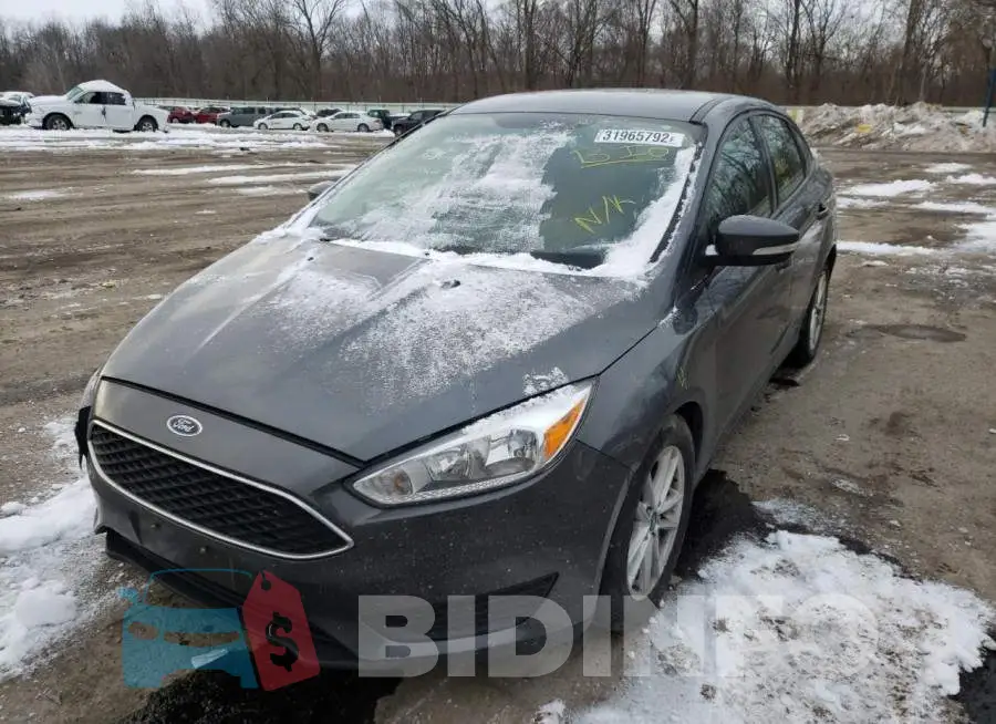 1FADP3F25HL243374 Photo# 2