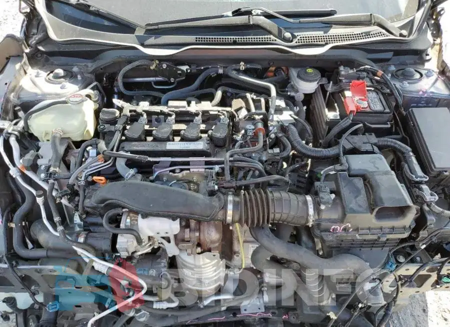 19XFC1F35KE013877 Photo# 7