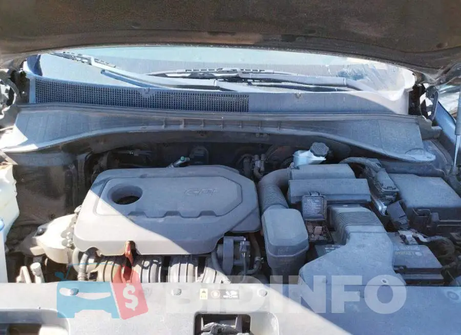 5XYPG4A36HG205371 Photo# 7