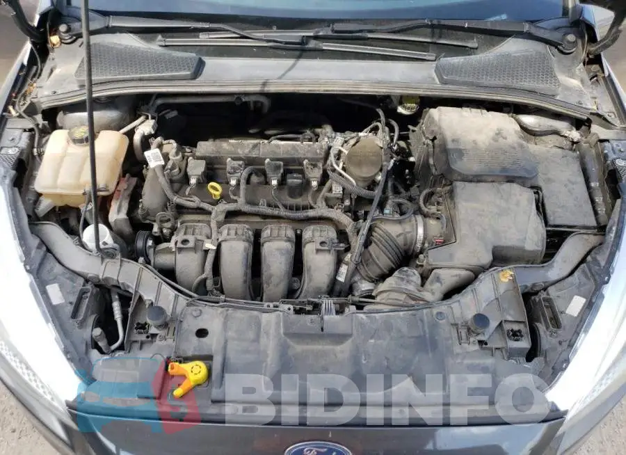 1FADP3E22GL202684 Photo# 7