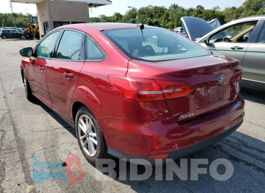 1FADP3F25GL245964 Photo# 3
