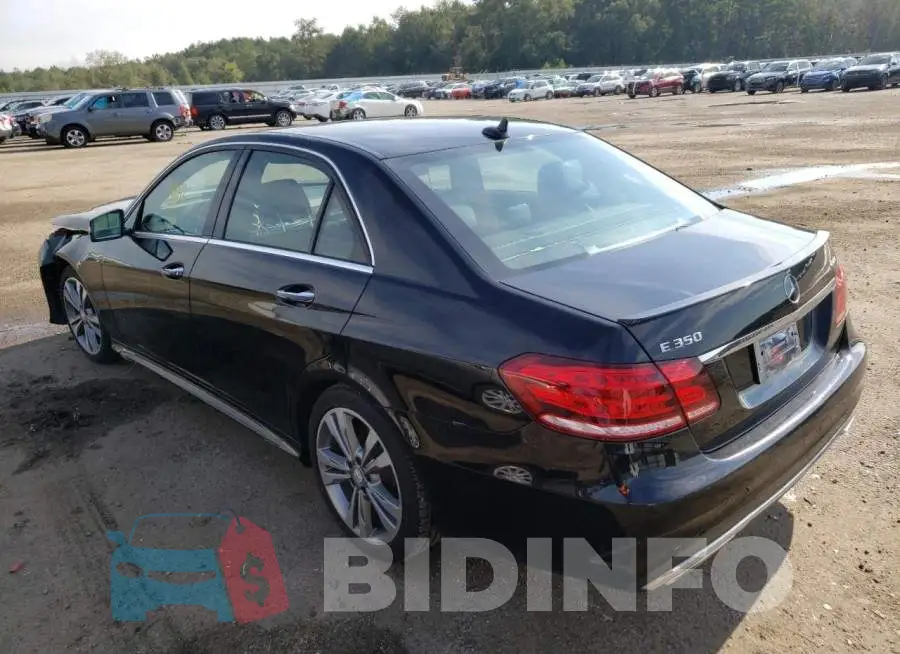WDDHF8JBXGB169852 Photo# 3