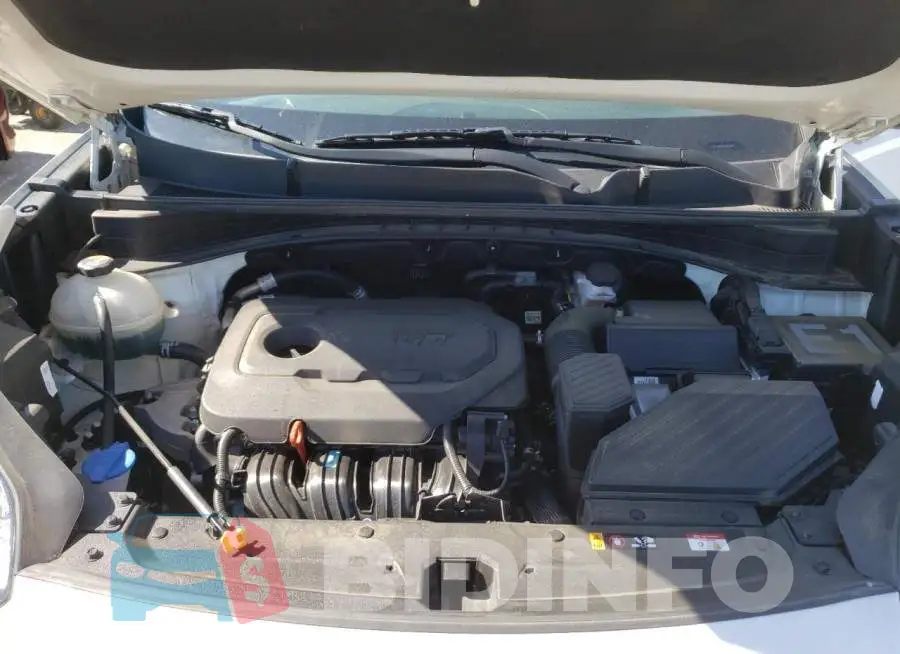 KNDPM3AC8L7774876 Photo# 7