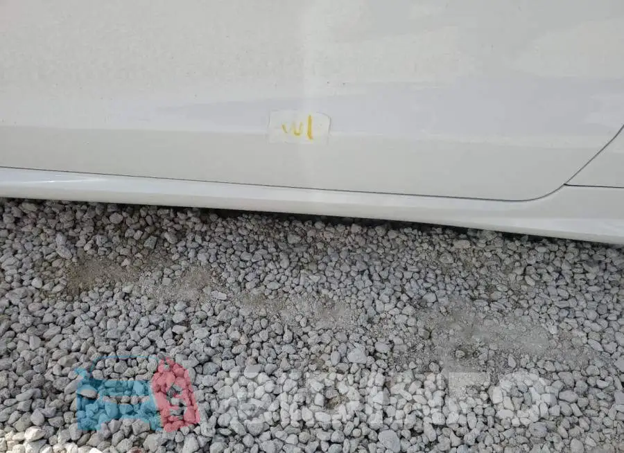 WDDKK6FF7GF341779 Photo# 9