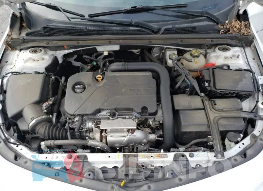 1G1ZD5ST4JF195009 Photo# 7