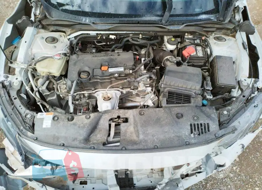 19XFC2F60LE201756 Photo# 7