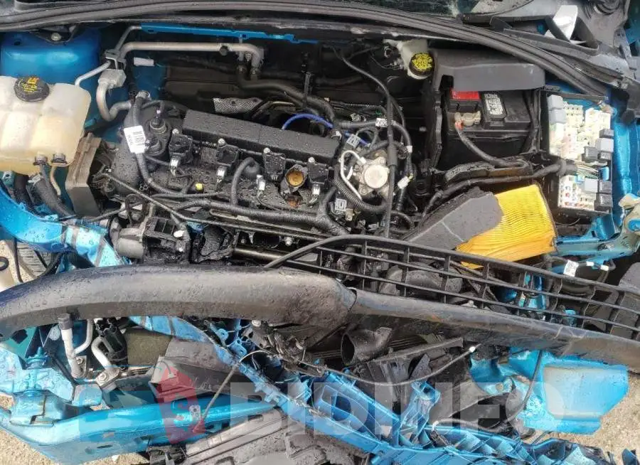 1FADP3F2XGL377005 Photo# 7