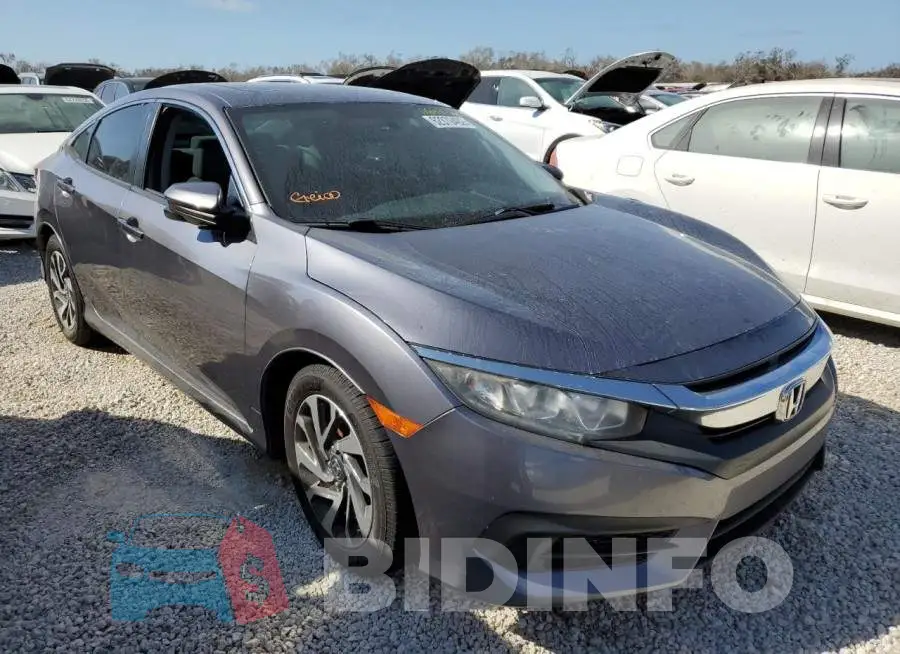 19XFC2F70HE069923 Photo# 1