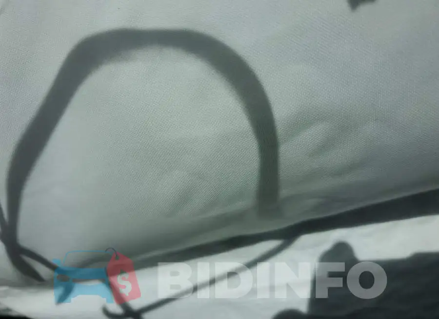 2HGFC2F89LH520192 Photo# 6