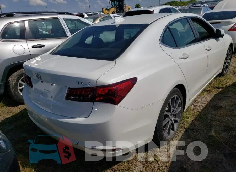 19UUB2F50HA005118 Photo# 4