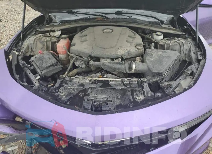 1G1FB1RS6J0162384 Photo# 7