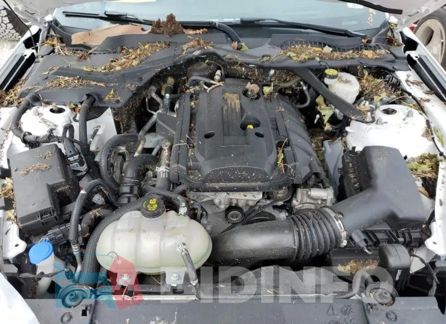 1FATP8UH7L5138039 Photo# 7