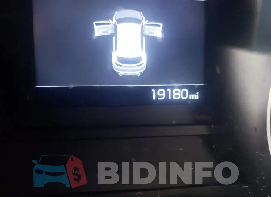 KNDPN3AC9M7875794 Photo# 8