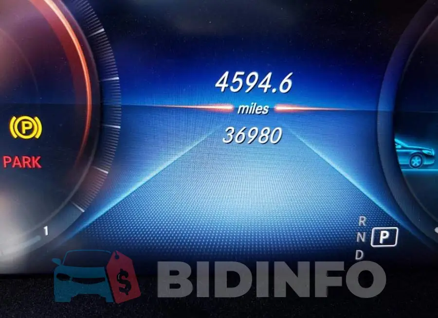WDDWF8DB5LR556930 Photo# 8