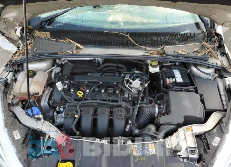 1FADP3F23HL244152 Photo# 11