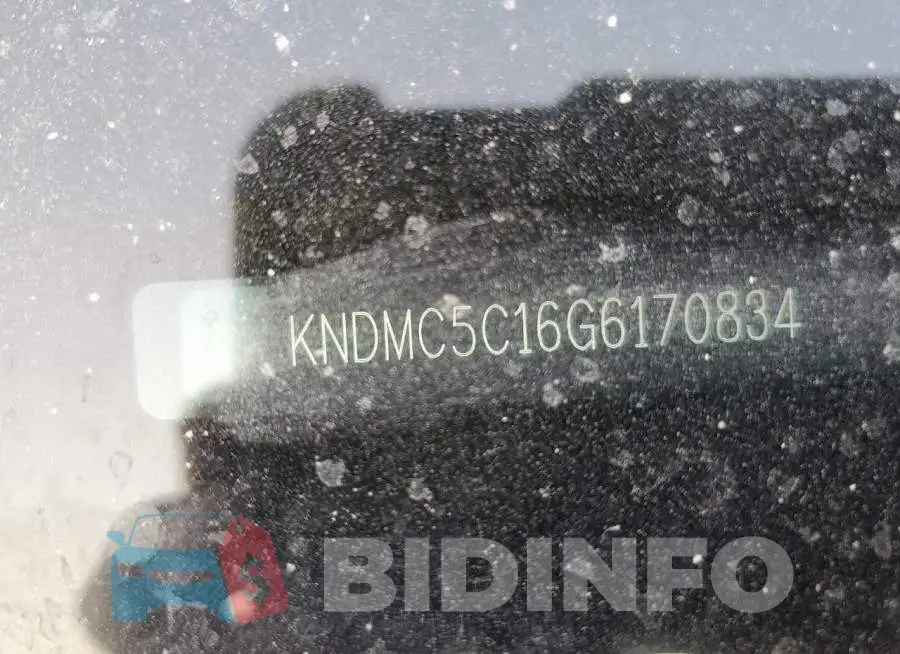 KNDMC5C16G6170834 Photo# 10