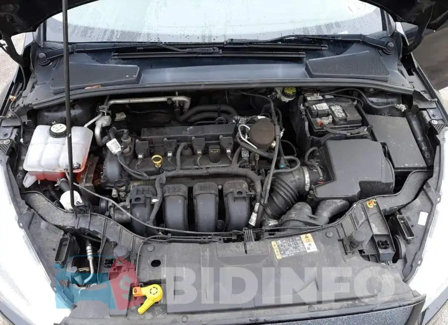 1FADP3F21GL261921 Photo# 7