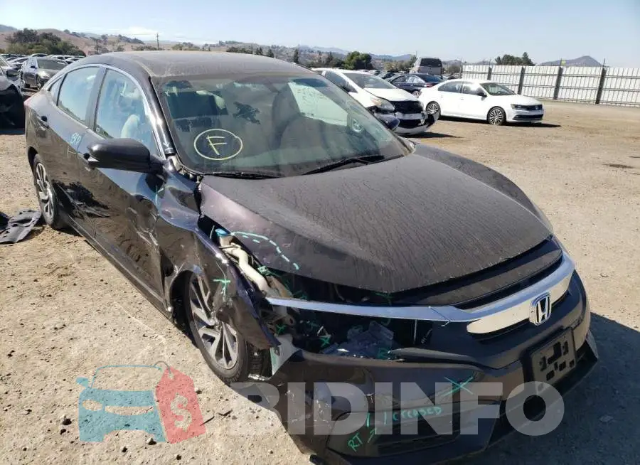 19XFC2F74HE232038 Photo# 9
