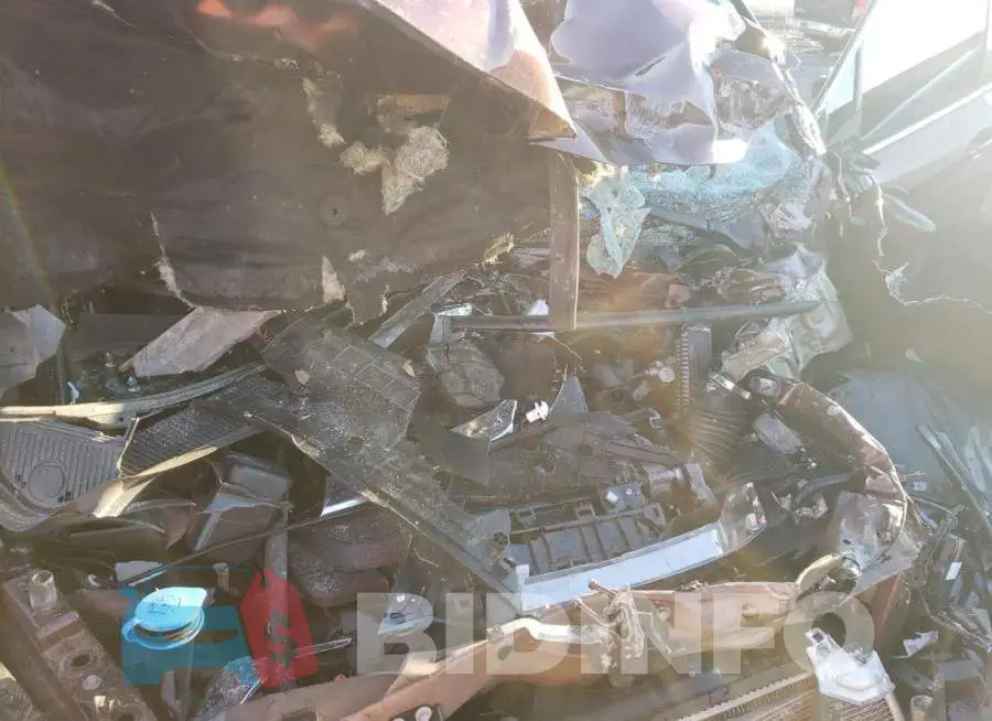 5FNYF5H55LB009300 Photo# 7