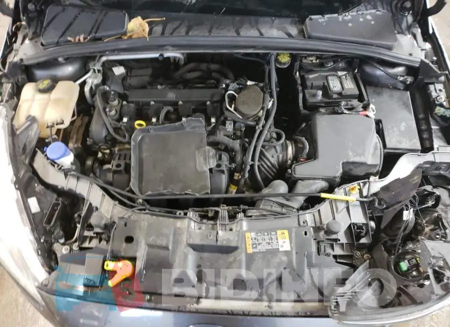 1FADP3F25GL242952 Photo# 7