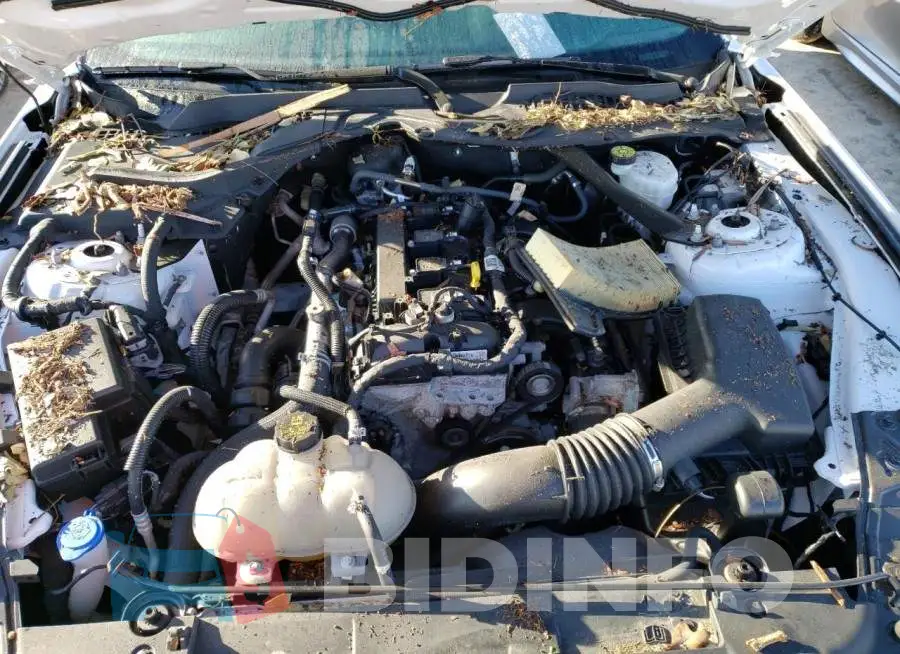 1FATP8UHXM5107188 Photo# 11