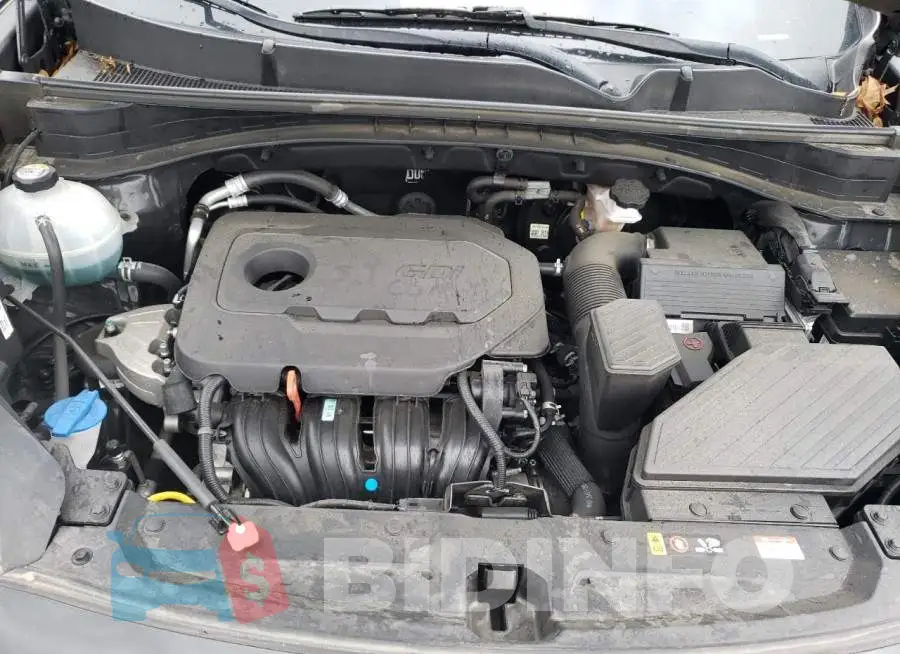 KNDPM3AC2L7726094 Photo# 7