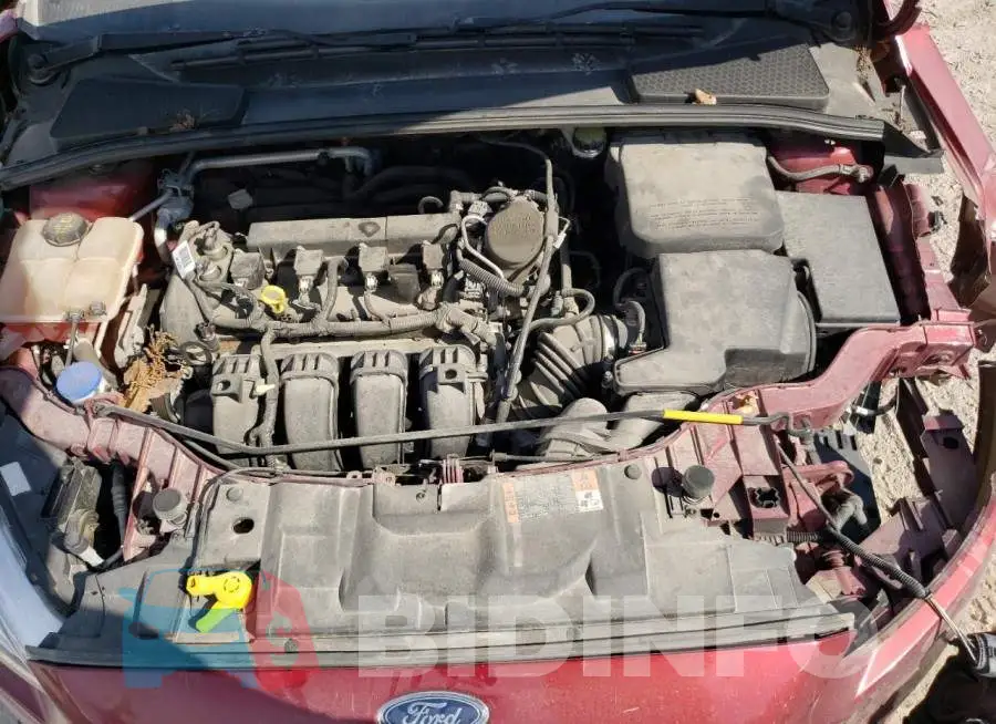 1FADP3F26GL207823 Photo# 7