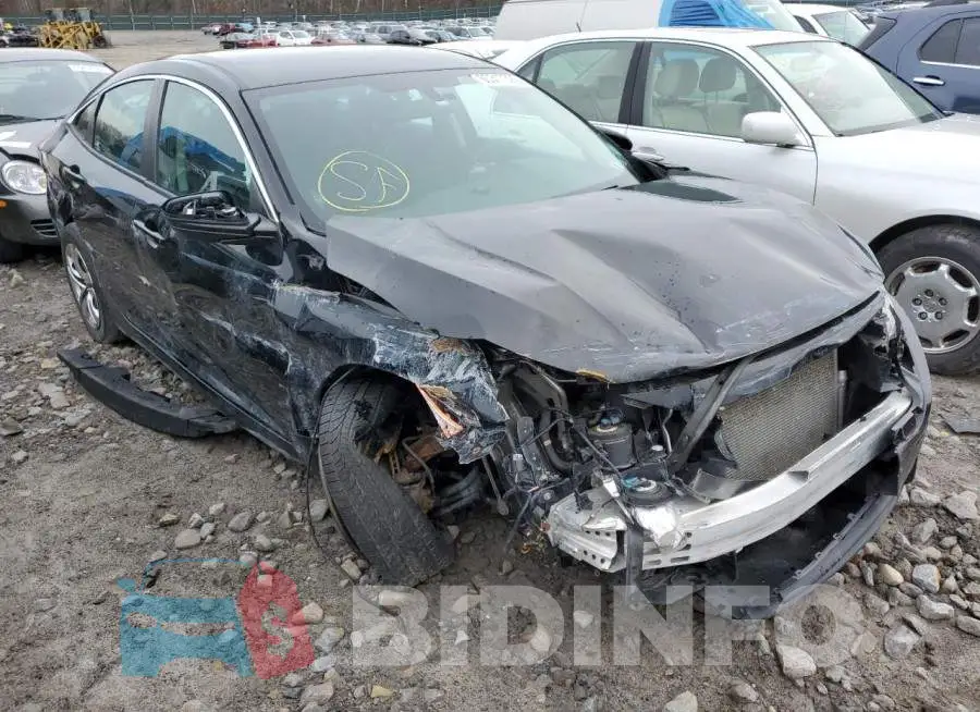 19XFC2F54GE053513 Photo# 1