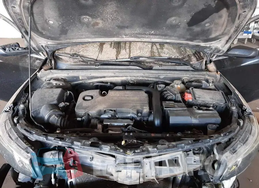 1G1ZB5STXHF156313 Photo# 7