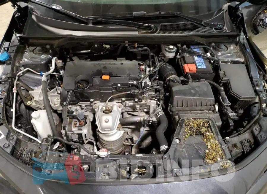 2HGFE2F56NH549927 Photo# 7