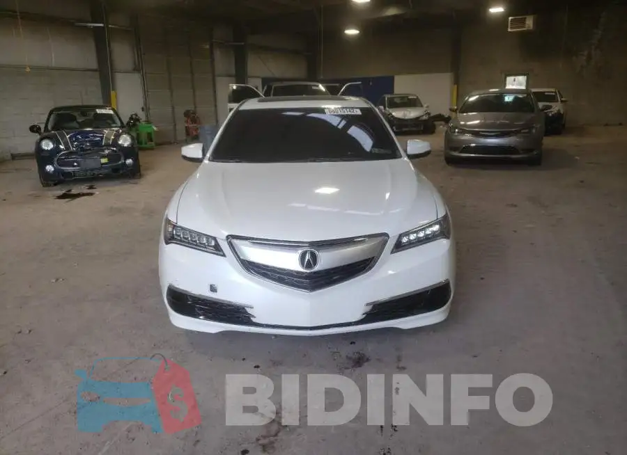 19UUB1F32GA005726 Photo# 5