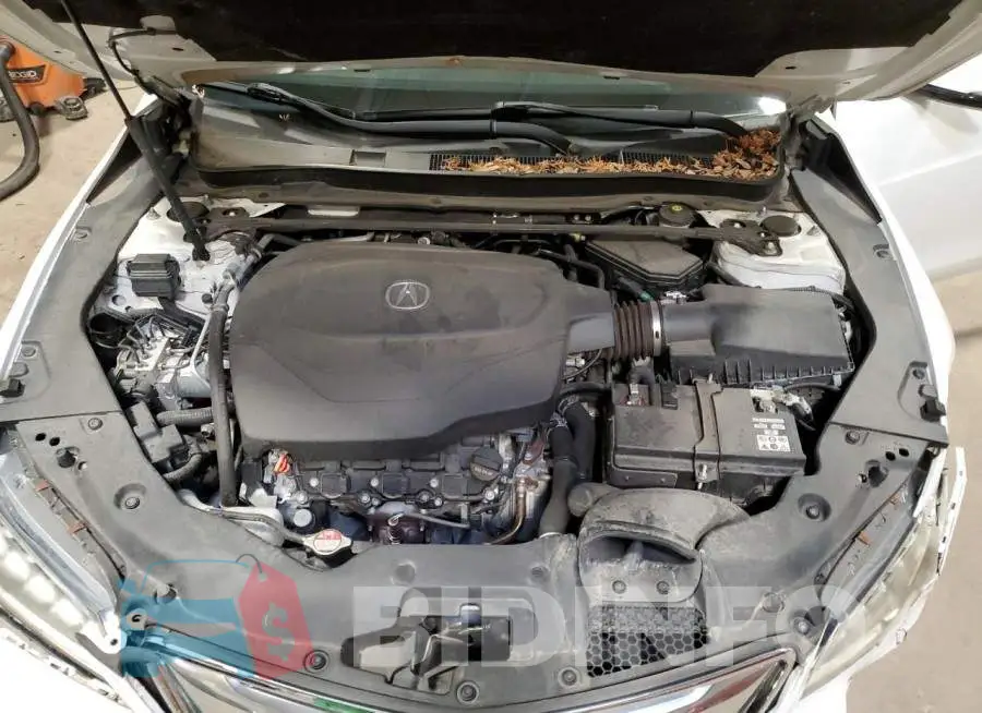 19UUB2F50GA007952 Photo# 11