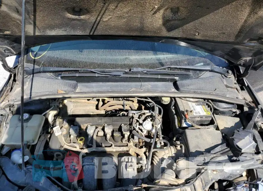 1FADP3F25GL255877 Photo# 7