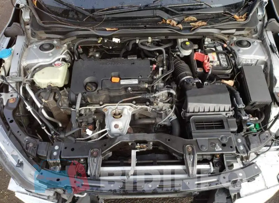 19XFC2F59GE228466 Photo# 7