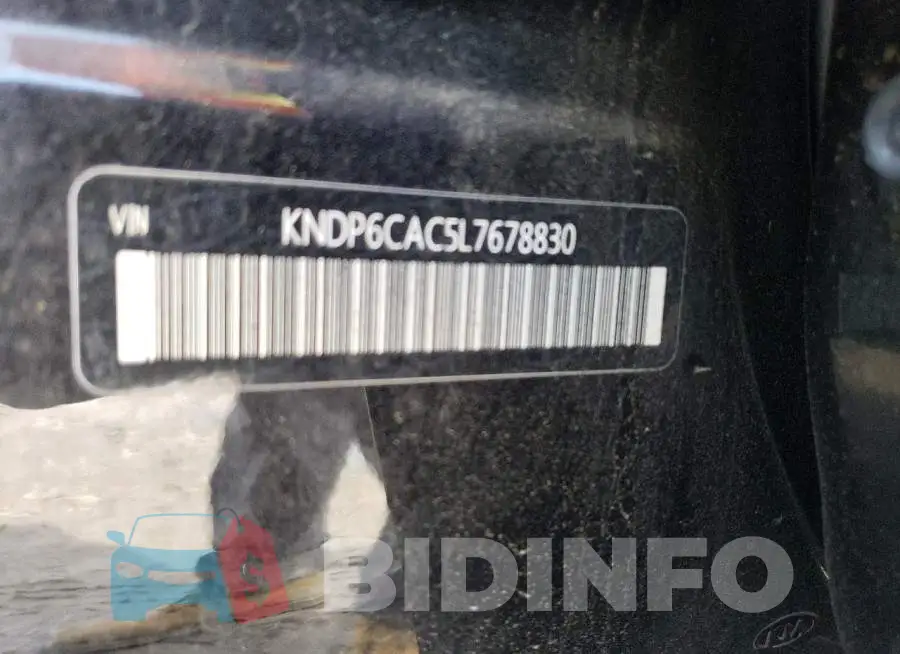 KNDP6CAC5L7678830 Photo# 10