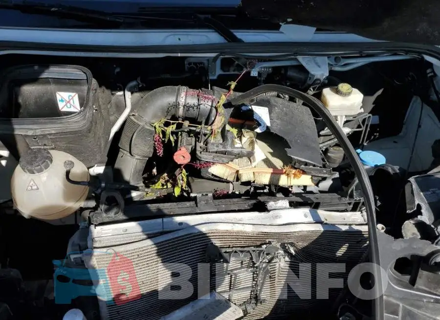 WD4PE7ED3KT006919 Photo# 7