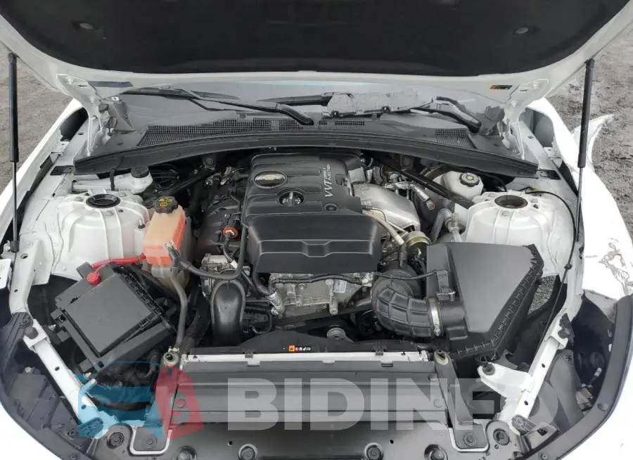 1G1FB1RXXK0103531 Photo# 7