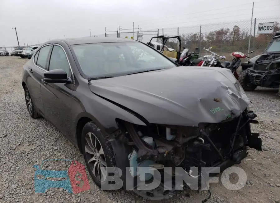 19UUB1F34FA017049 Photo# 1