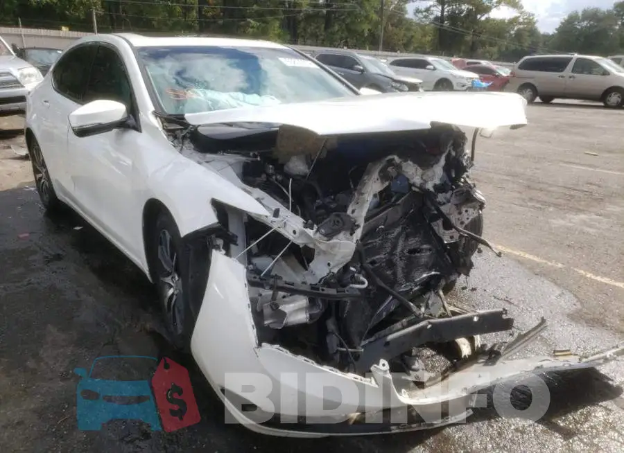 19UUB1F36FA027713 Photo# 1