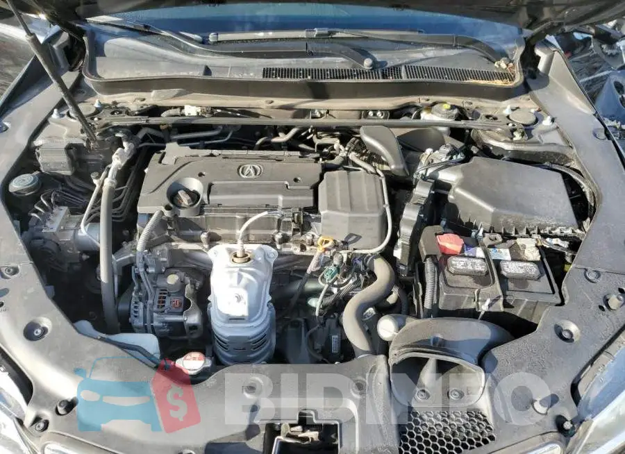 19UUB1F55FA023962 Photo# 7