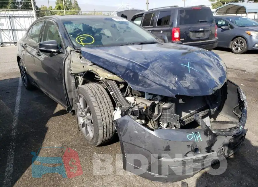 19UUB2F39FA024861 Photo# 1