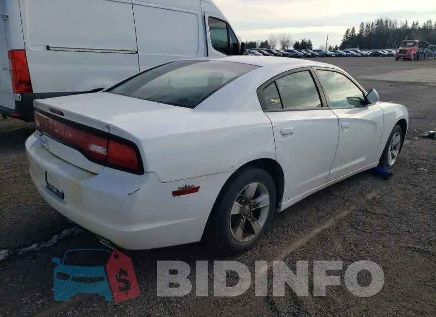 2C3CDXBGXDH710839 Photo# 3