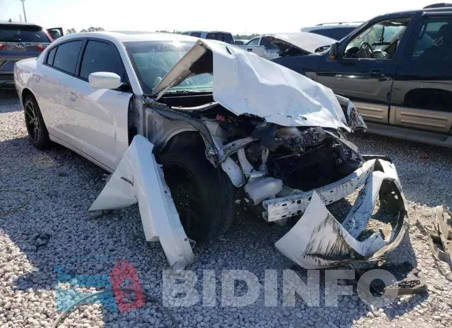 2C3CDXCT1DH666533 Photo# 1