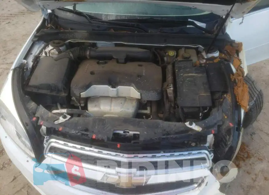 1G11C5SL6FF296706 Photo# 7