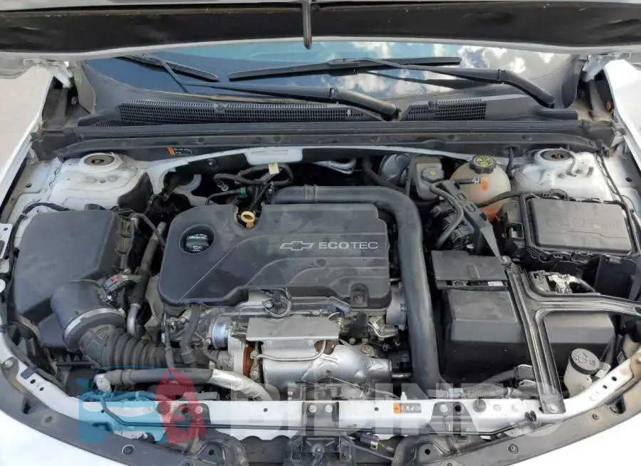 1G1ZD5ST5JF100974 Photo# 7