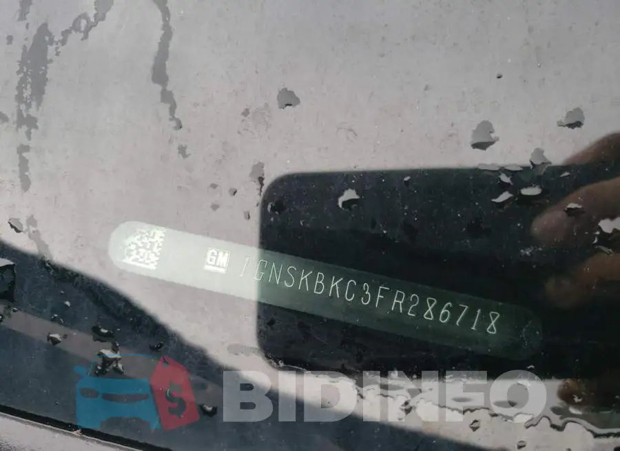 1GNSKBKC3FR286718 Photo# 10